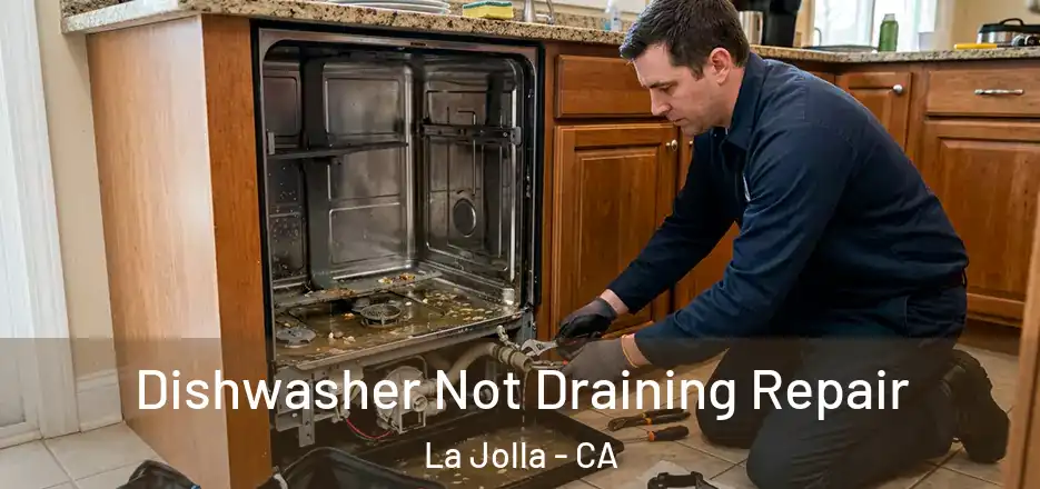 Dishwasher Not Draining Repair La Jolla - CA