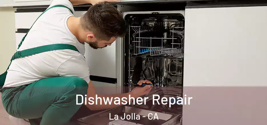  Dishwasher Repair La Jolla - CA