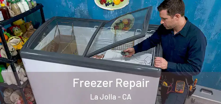  Freezer Repair La Jolla - CA