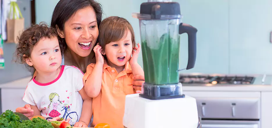 Juicer and Mixer Blender Repair in La Jolla 