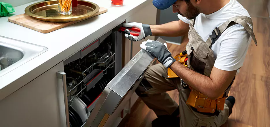Same Day Dishwasher Not Draining Repair in La Jolla