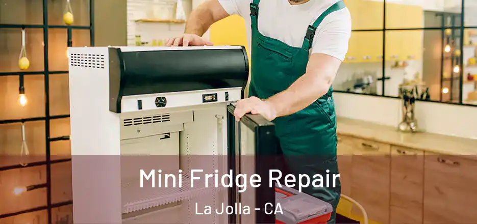  Mini Fridge Repair La Jolla - CA