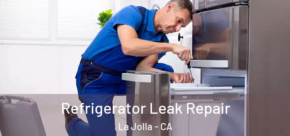  Refrigerator Leak Repair La Jolla - CA