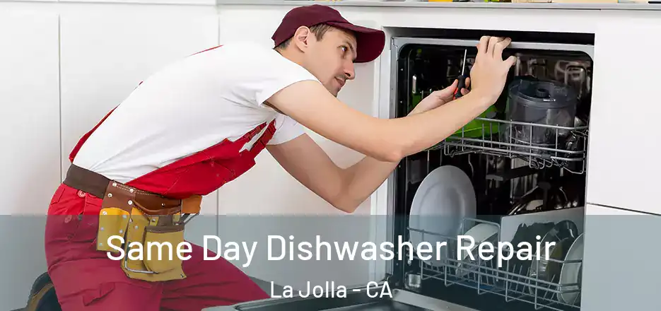 Same Day Dishwasher Repair La Jolla - CA