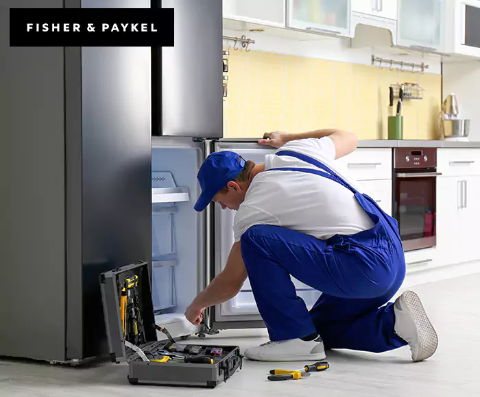 Top-Rated Fisher & Paykel Appliance Experts: Your Brand Specialist in La Jolla, CA